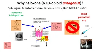 A New Paradigm for Buprenorphine Testing