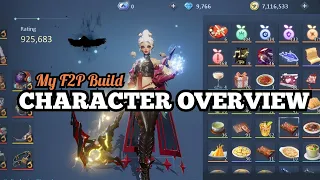 How I build my character (Overview)| Dragon Raja