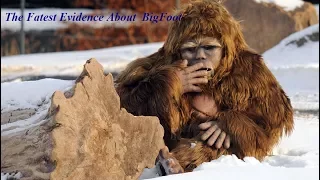 [Documentaries 2017] The Latest Evidence About Bigfoot-National Geographic Documentary