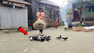 Amazing Pigeon Trapping technique | Boy Catching Bird With Fishing Tools Polo। #pigeontrap