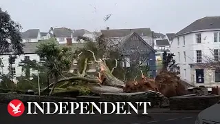 Storm Eunice: Giant tree narrowly misses Cornwall shops as it falls onto street during strong winds