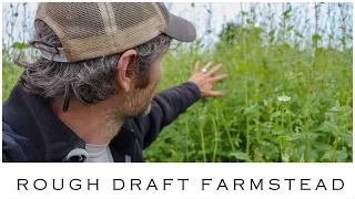 Cover Crops and No-Till Market Gardening