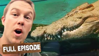 Up Close with 'Snowy' The White Crocodile 😮 | The Wildlife of Tim Faulkner S1 Ep 8 | Untamed
