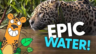 EPIC Earth’s Natural Wonder… WATER!