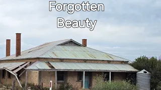 Forgotten Beauty