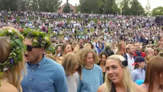 Swedish MidSummer - The Little Frog Dance