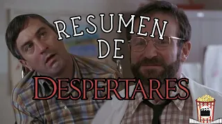 Resumen De Despertares (Awakenings 1990) Resumida Para Botanear