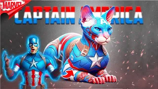 AVENGERS But CAT SPHYNX 6 | VENGERS | All Super Hero Characters (Marvel & DC) 2024