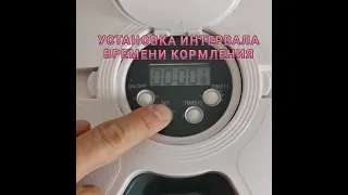 Автокормушка для кошек и собак