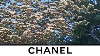Teaser of the Fall-Winter 2020/21 Ready-to-Wear Show — CHANEL Shows
