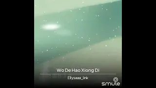 Wo de hao xiong di (cover song)