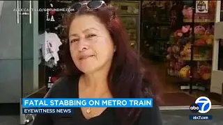 Fatal stabbing on Metro train: Woman identified as mother of 3