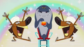 हिंदी Zig & Sharko 🕯 त्यौहार और रोशनी! Hindi Cartoons for Kids