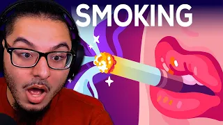 Kurzgesagt - Smoking is Awesome | REACTION