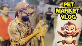 Karachi Pet Market Vlog | Mehran Hashmi