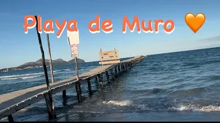 Platja de Muro 💛 Mallorca Traum-Strand 🇪🇸 Bucht von Alcudia 💛 S‘Albufera 🌴 Nice ☀️😎