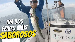 PESCARIA de MAR - CORRICO de SOROROCAS - BUSCANDO PEIXES para o  CONSUMO | Loja UNIVERSO FISHING