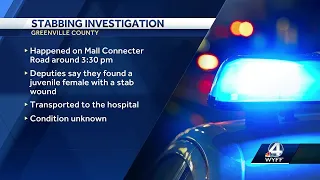 Investigation underway after stabbing incident in Greenville Co., deputies say