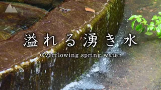 [Healing video & sound] Spring water overflowing with Mt. Fuji [5 hours]