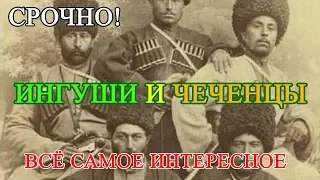 Чем отличаются чеченцы от ингушей, один народ два государства
