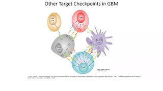 Webinar: Michael Lim, MD - Immunotherapy for Brain Tumors