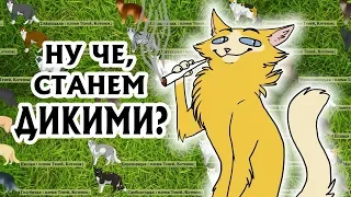 НОВАЯ ИГРА ПРО КВ! - Что такое Вилд и с чем его едят