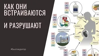 Вещества, РАЗРУШАЮЩИЕ эндокринную систему