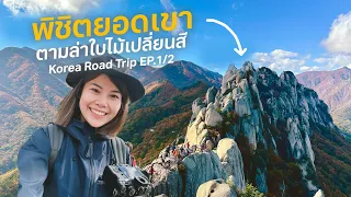 Solo Trekking In Korea, Fall Foliage Hunting! (Korea Road trip EP.1/2) #NoWayHome