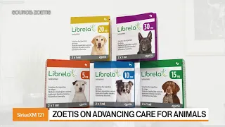 Zoetis CFO On The Pet Care Industry
