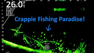Fishing For Winter Crappie on Lake Darbonne!!!  Full-Screen LiveScope Fishing Footage!!!  Trip #15
