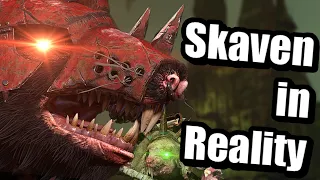 Skaven Trailer in Reality