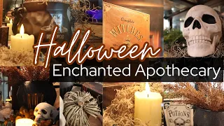 Halloween Witch's Cottage | Spooky Apothecary Decor | Halloween Decorating Ideas On A Budget