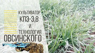 Культиватор КПЭ 3,8 и технология Овсинского