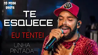 Unha Pintada - Te Esquece Eu Tentei (Música Nova)