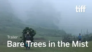 BARE TREES IN THE MIST Trailer | TIFF 2019
