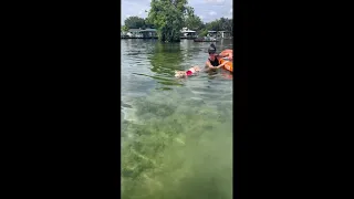 Fisher the Main Coon goes swimming