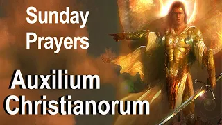 Auxilium Christianorum - Sunday Deliverance Prayers for Use By the Laity - Fr Chad Ripperger Video