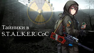 Неплохое начало.Тайники S.T.A.L.K.E.R. CALL OF CHERNOBYL #1