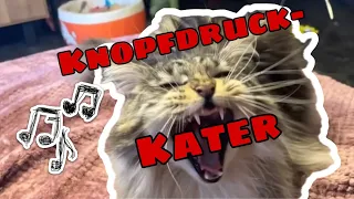 Die Katzlei 58: Der Knopfdruck-Kater Song #lustigekatze #punkrock