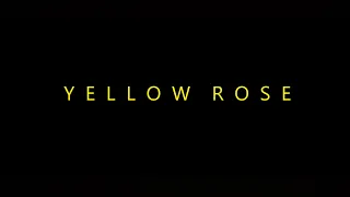 Yellow Rose 35mm Cut