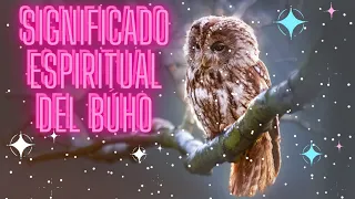 ✨ Significado espiritual del BÚHO🦉