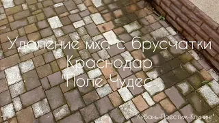 Удаление мха с брусчатки в Краснодаре - Поле Чудес