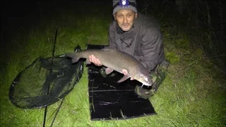 BARBEL FISHING RIVER DEARNE YORKSHIRE  - VIDEO 40