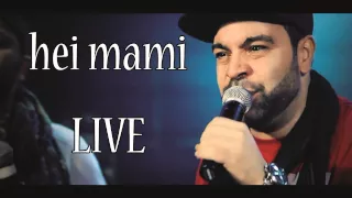 FLORIN SALAM - Hei mami (LIVE NOU 2015)