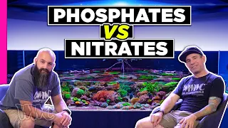 Nitrates Vs. Phosphates The make or break of your Aquarium!