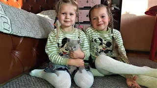 Полина Каролина и День рождения Таксы Шарика Подарок кошка Элька PoNaBi Kids tv