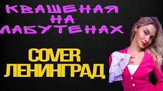 Экспонат - Квашеная, (cover  Ленинград)