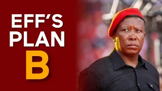 EFF and MK party coalition on the cards? | Marius Roodt