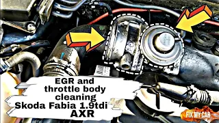 EGR and throttle body cleaning Skoda Fabia 1.9 tdi AXR | Fix My Car Garage