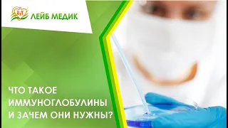 🧬 Что такое иммуноглобулины и зачем они нужны?